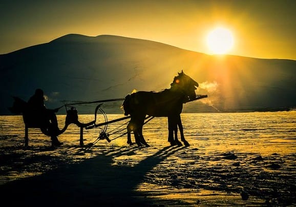 Ardahan