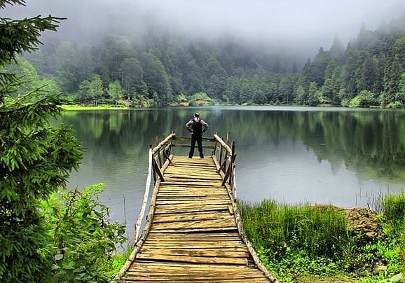 Artvin