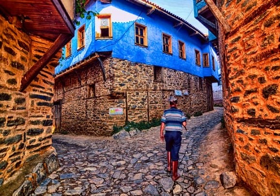 Bursa
