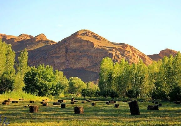 Iğdır