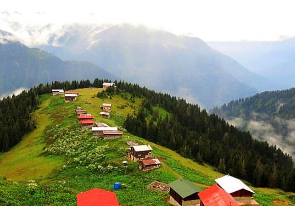 Rize