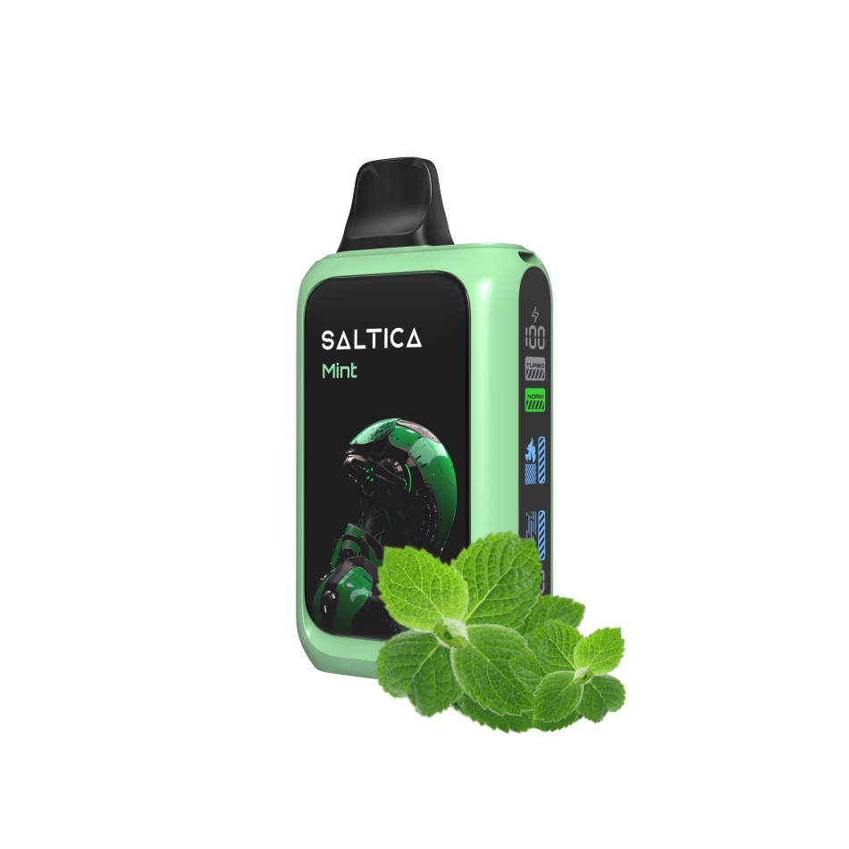 Saltica Cyber 18000 Mint Kullan At Vape Bar