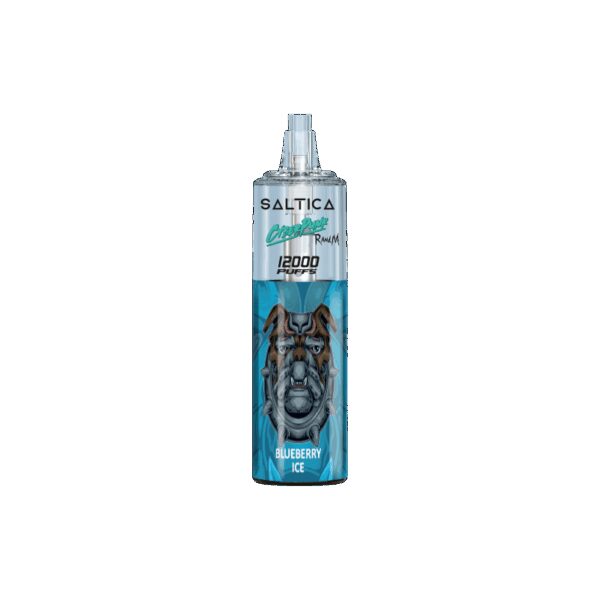 Saltica Cyberpunk 12000 Blueberry Ice Kullan At Vape Bar