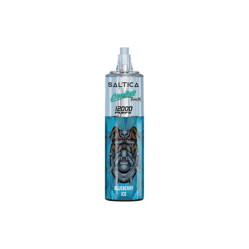 Saltica Cyberpunk 12000 Blueberry Ice Kullan At Vape Bar