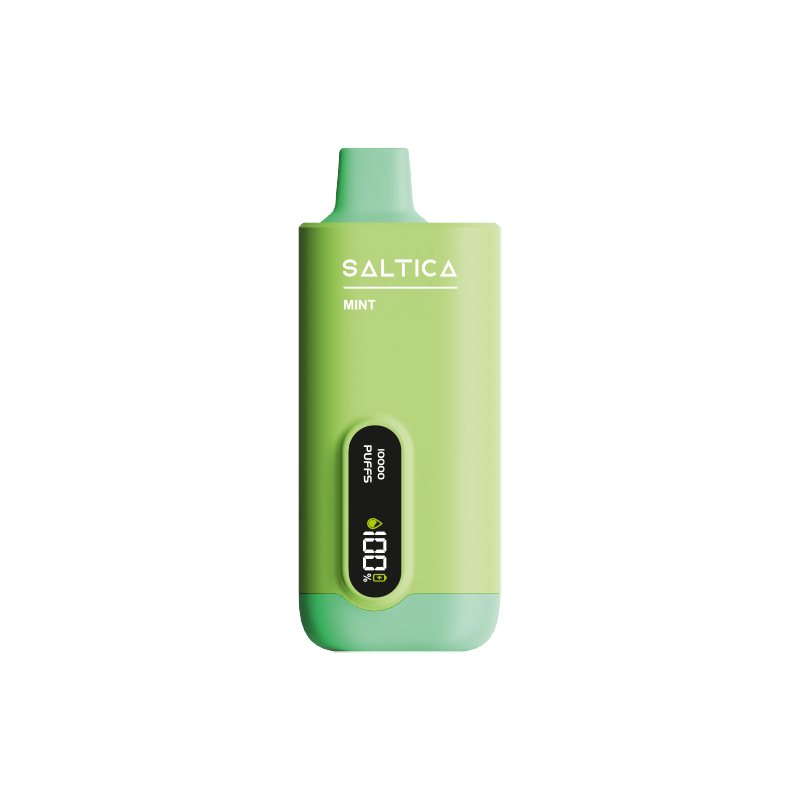 Saltica Ekranlı 10000 Mint Kullan At Vape Bar