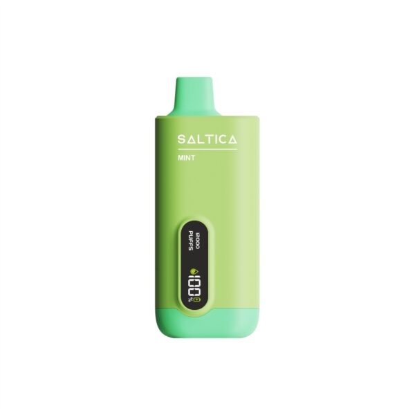 Saltica Ekranlı 12000 Mint Kullan At Vape Bar