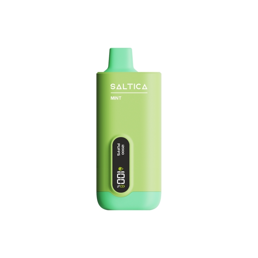 Saltica Ekranlı 12000 Mint Kullan At Vape Bar