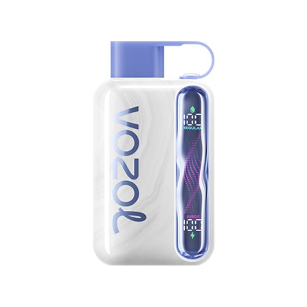 Vozol Star 40000 Blueberry Mint